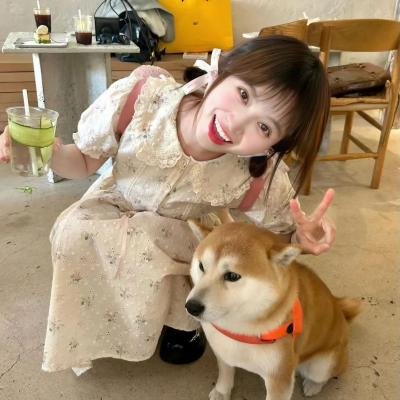 新扎老师